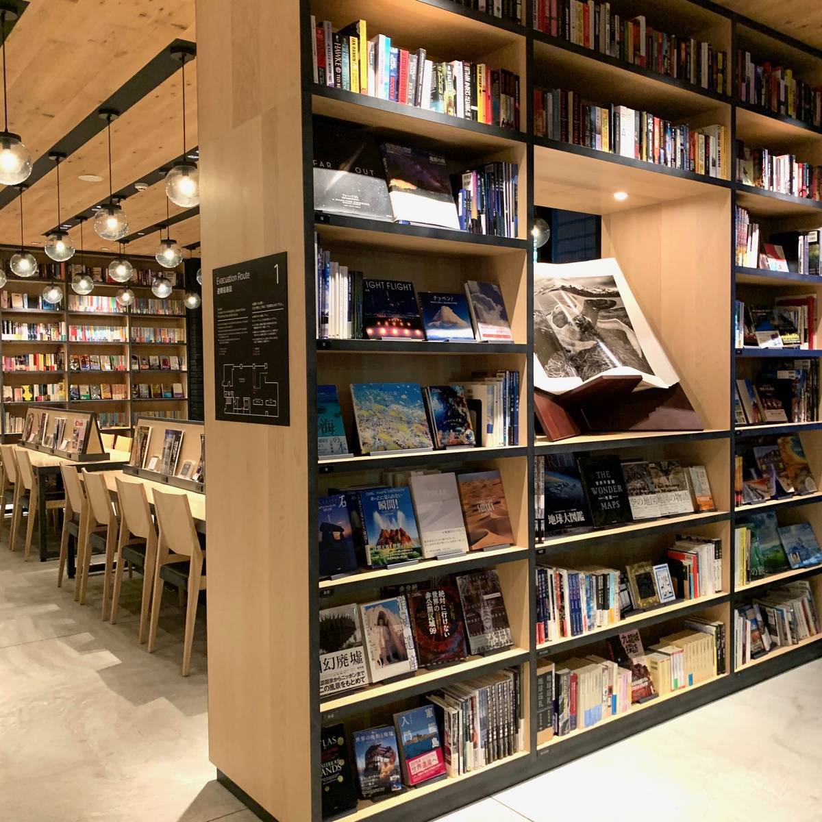 f:id:mashley_slt:20191130000052j:plain