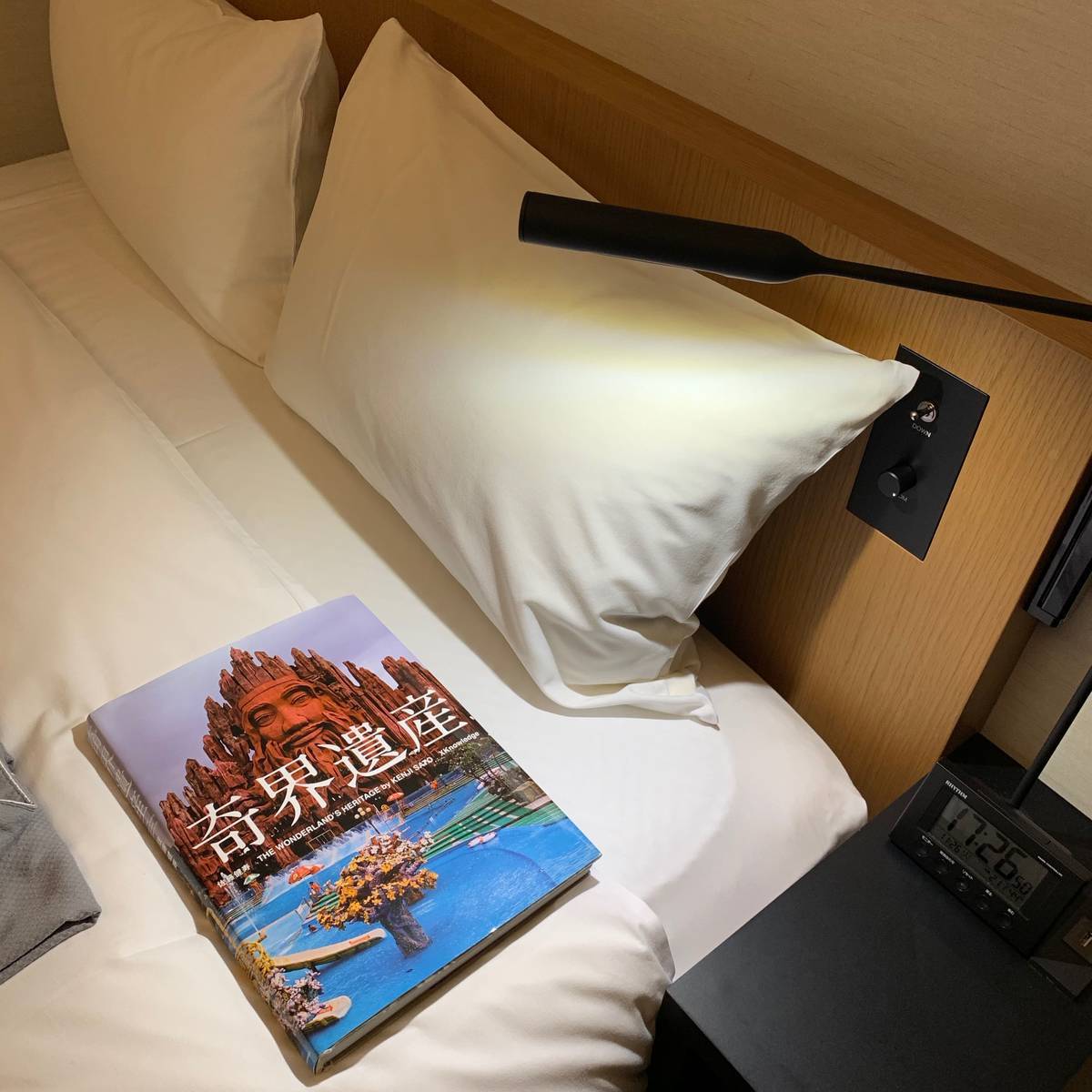 f:id:mashley_slt:20191130002150j:plain