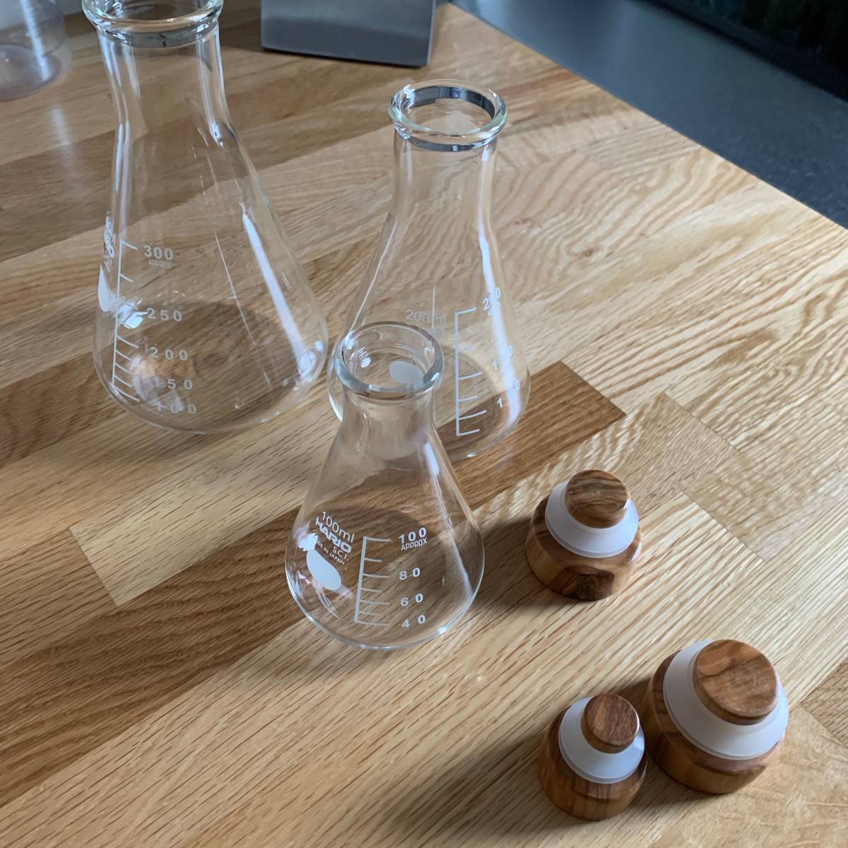 f:id:mashley_slt:20191201231951j:plain