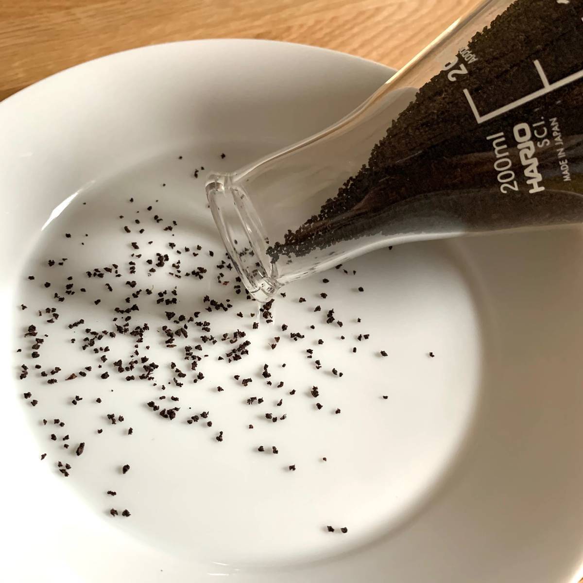 f:id:mashley_slt:20191202182425j:plain f:id:mashley_slt:20191202182425j:plain