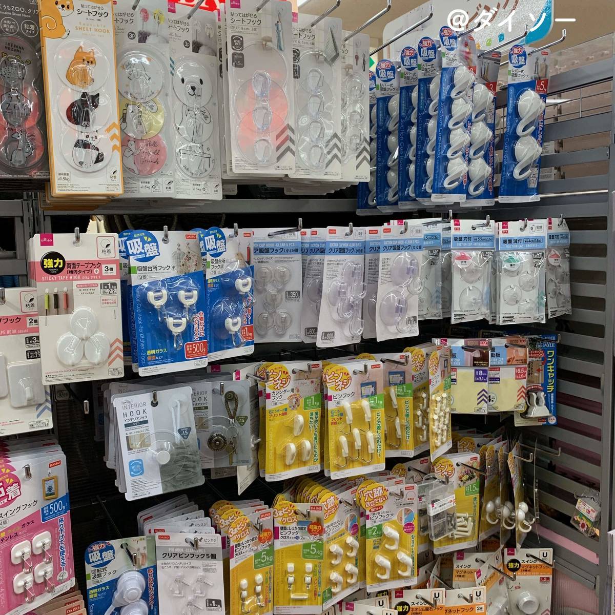 f:id:mashley_slt:20191208232207j:plain