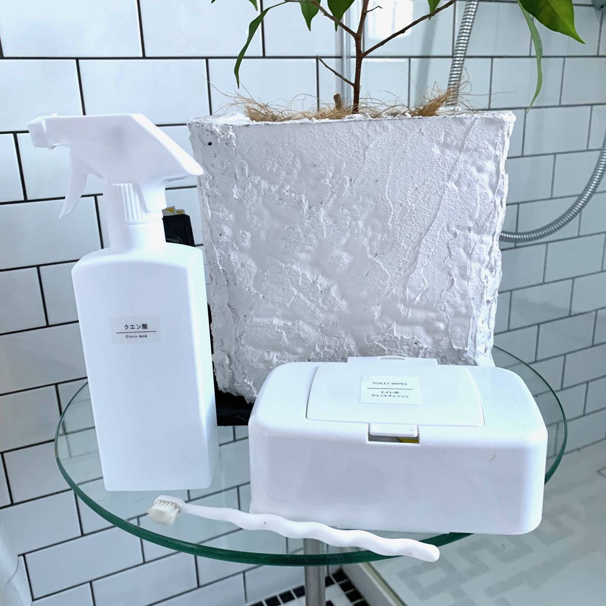 f:id:mashley_slt:20191220235313j:plain f:id:mashley_slt:20191220235313j:plain