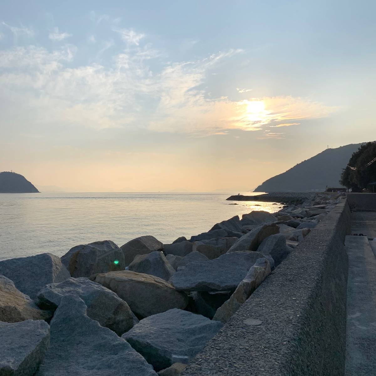 f:id:mashley_slt:20191226205337j:plain f:id:mashley_slt:20191226205337j:plain