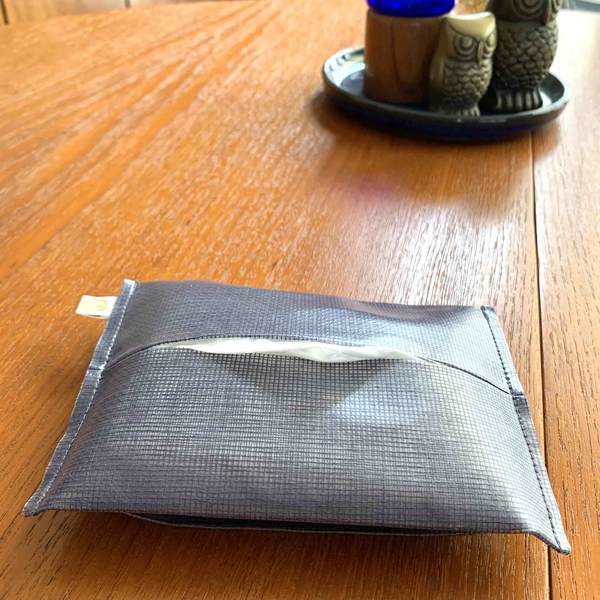 f:id:mashley_slt:20200710154717j:plain