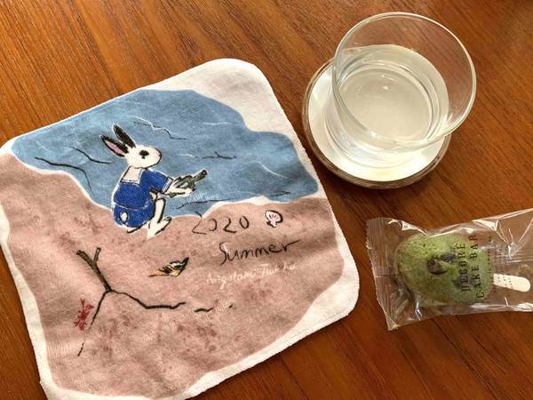 f:id:mashley_slt:20200715235747j:plain