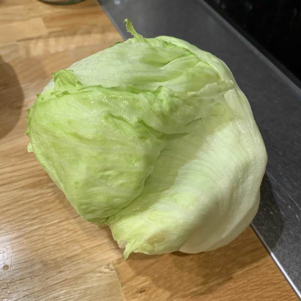 f:id:mashley_slt:20200729233942j:plain