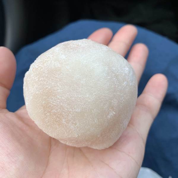 f:id:mashley_slt:20200916195737j:plain