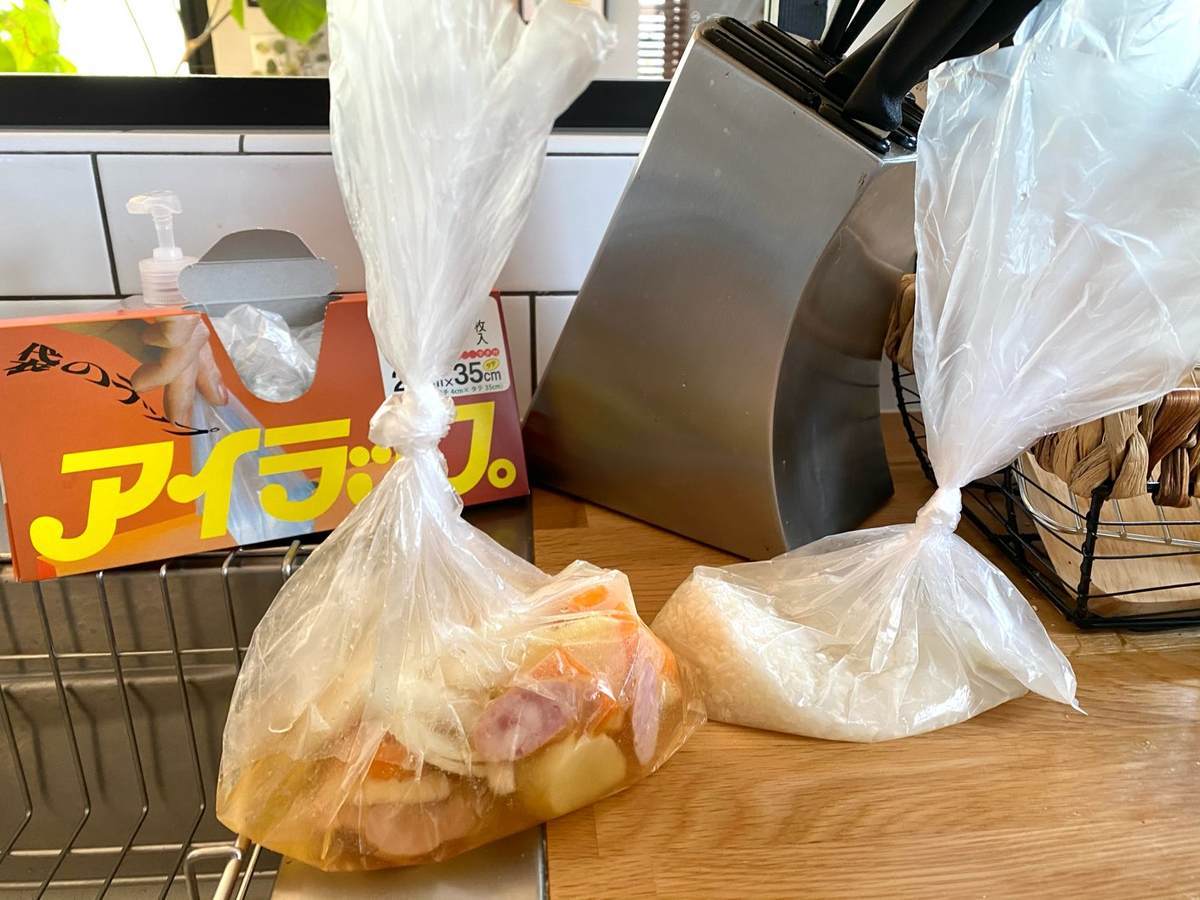 f:id:mashley_slt:20210219180906j:plain