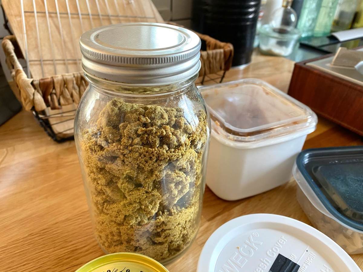 f:id:mashley_slt:20210219181502j:plain