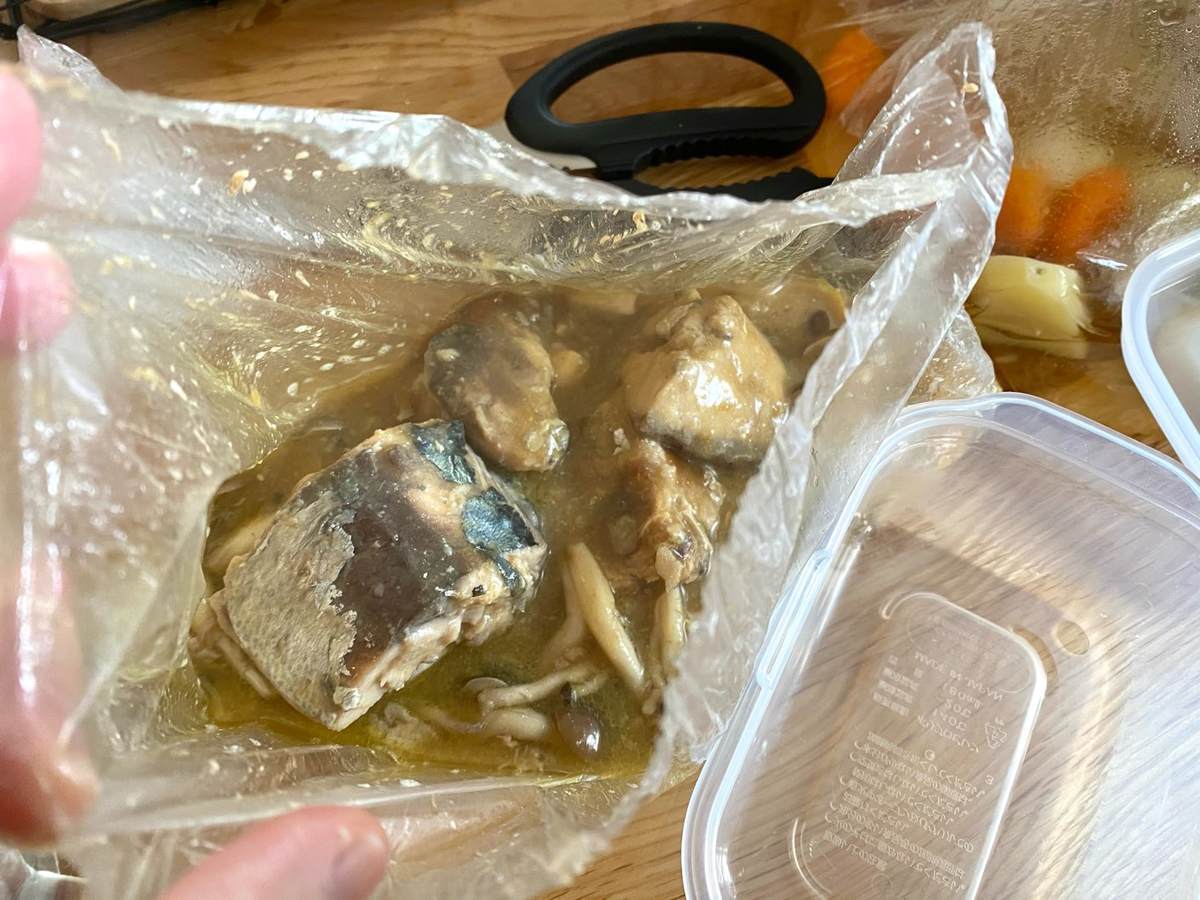 f:id:mashley_slt:20210219182534j:plain