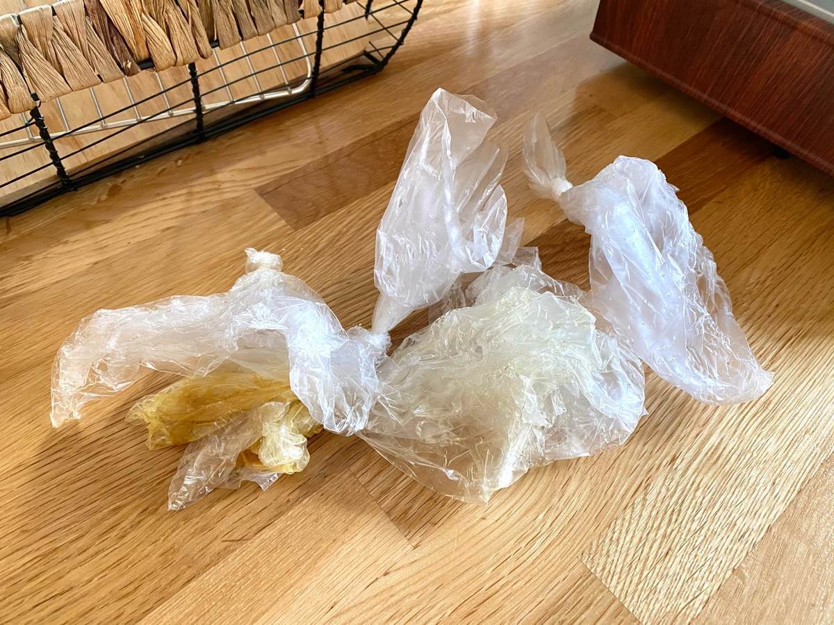 f:id:mashley_slt:20210219183614j:plain