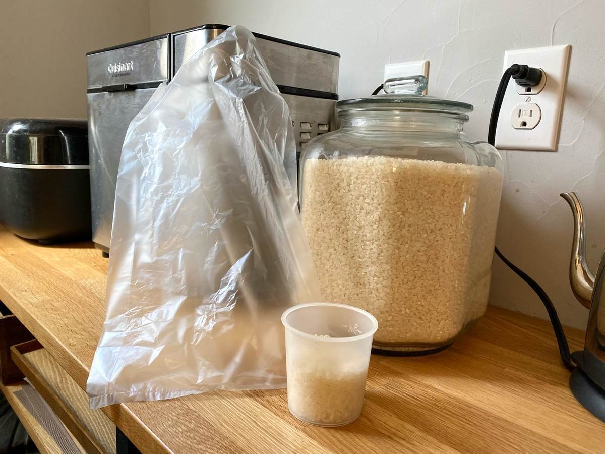 f:id:mashley_slt:20210219185047j:plain