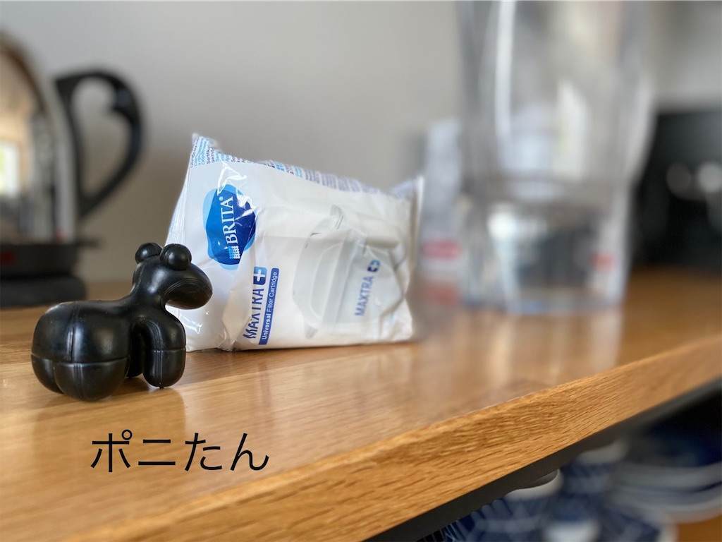 f:id:mashley_slt:20210319135845j:image