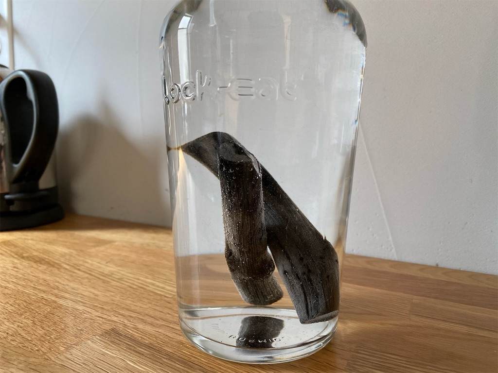 f:id:mashley_slt:20210319140358j:image