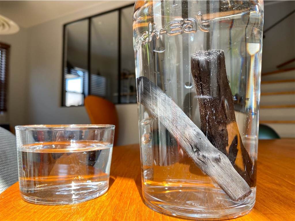 f:id:mashley_slt:20210319140430j:image