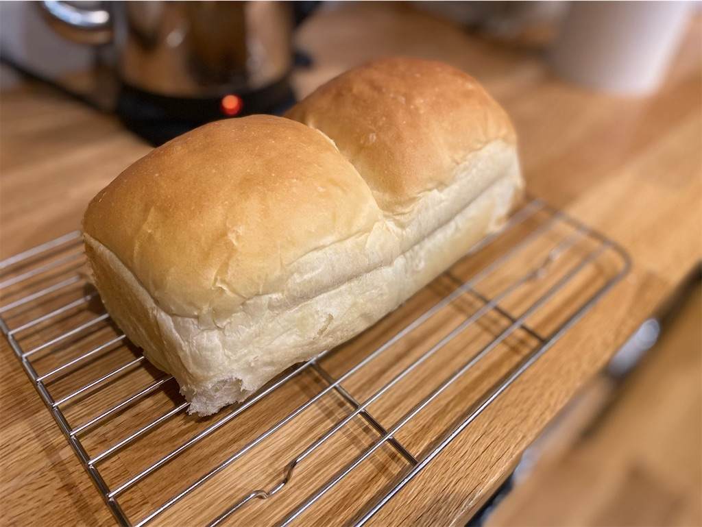 f:id:mashley_slt:20210319141026j:image