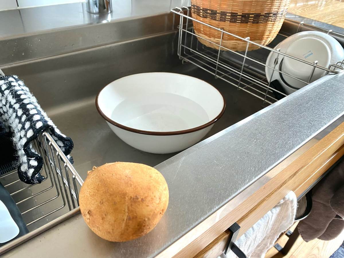 f:id:mashley_slt:20210607193338j:plain