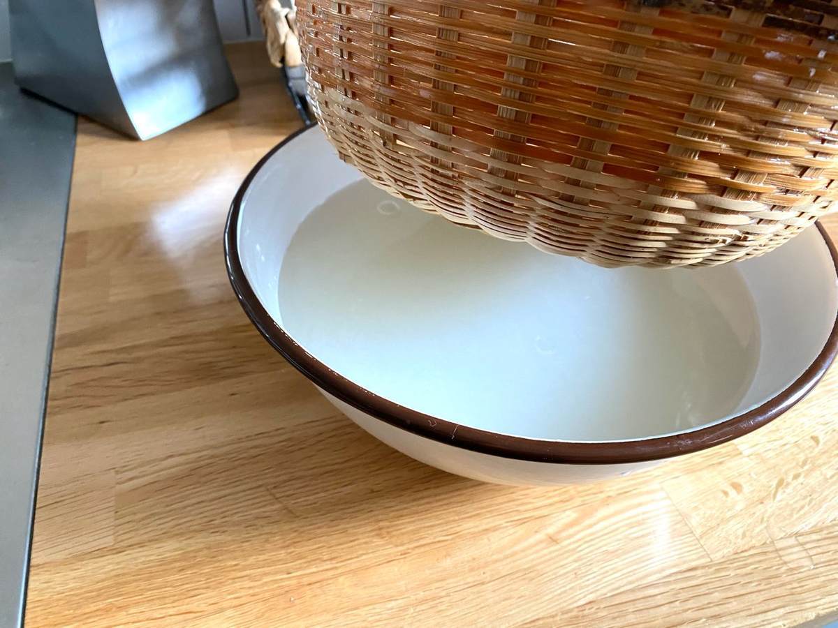 f:id:mashley_slt:20210607193457j:plain