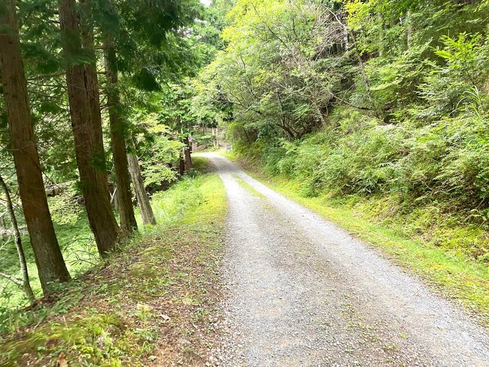 f:id:mashley_slt:20210819162458j:plain