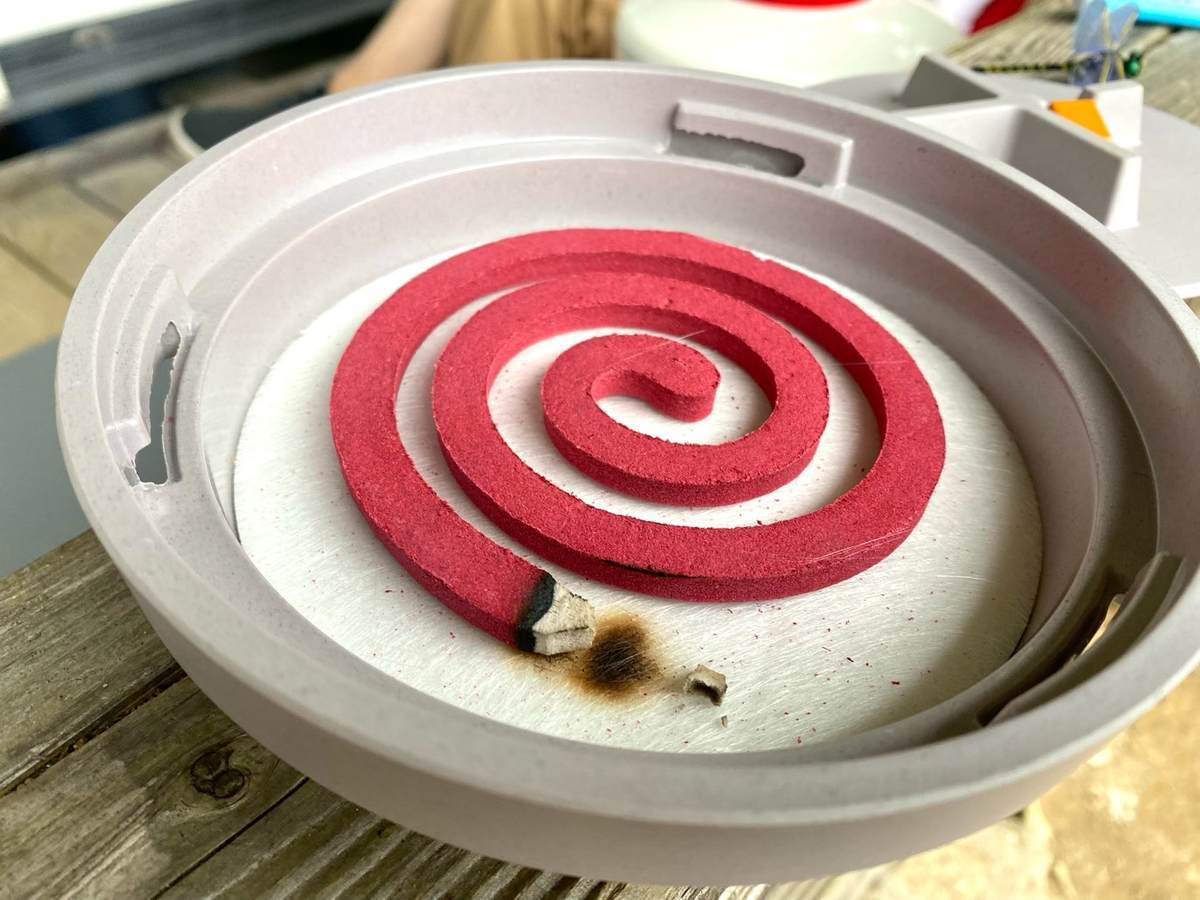 f:id:mashley_slt:20210819175313j:plain