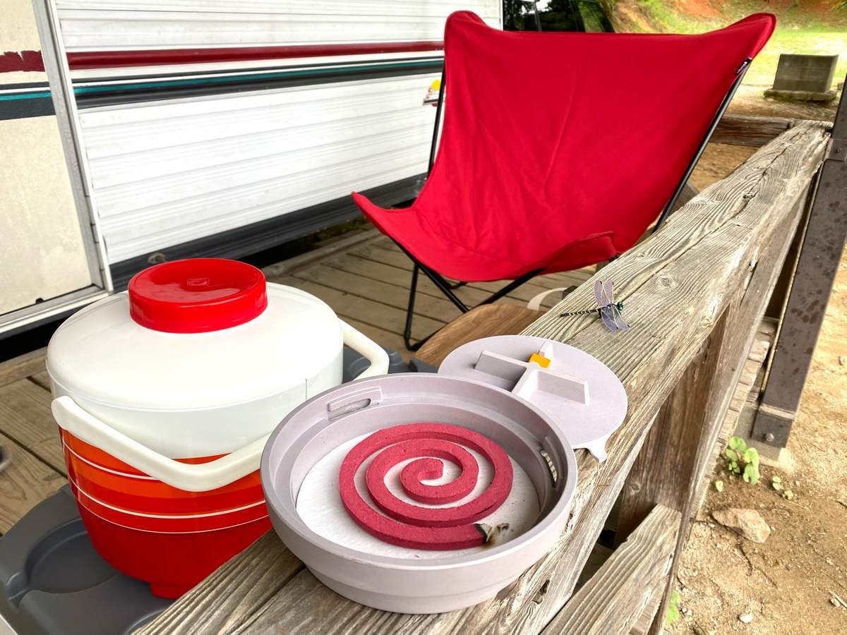 f:id:mashley_slt:20210819175334j:plain