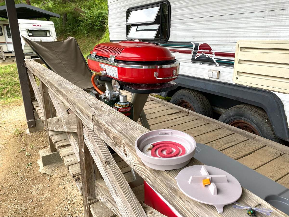 f:id:mashley_slt:20210819175833j:plain