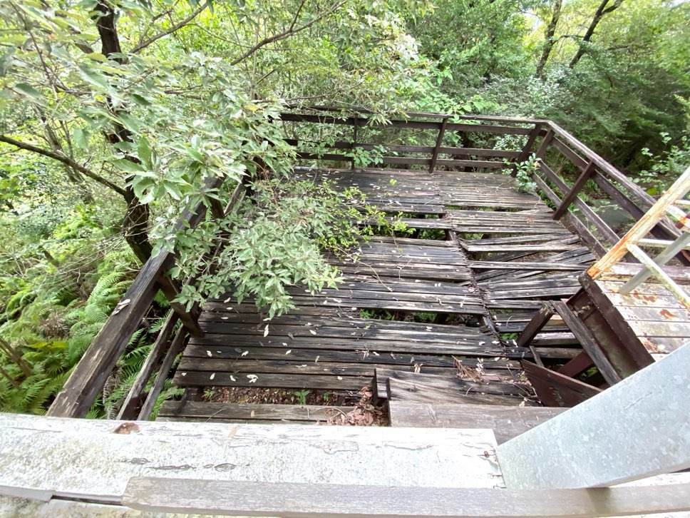 f:id:mashley_slt:20210917014737j:plain