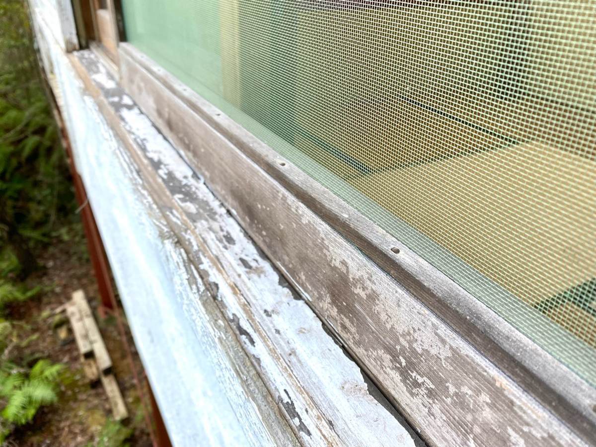 f:id:mashley_slt:20210917021555j:plain