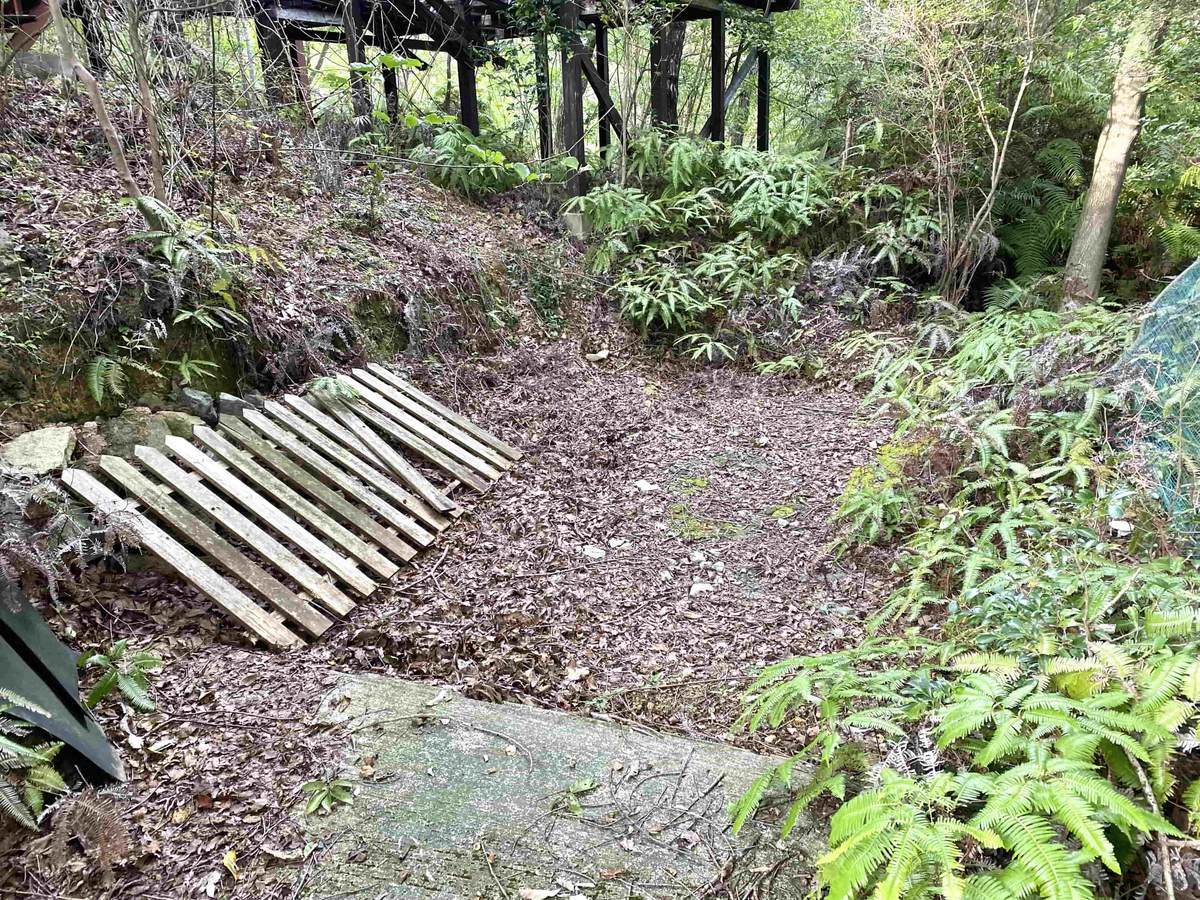 f:id:mashley_slt:20210930111129j:plain