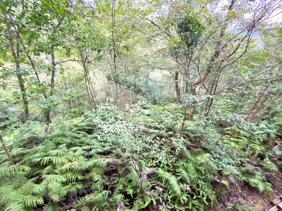 f:id:mashley_slt:20210930111341j:plain