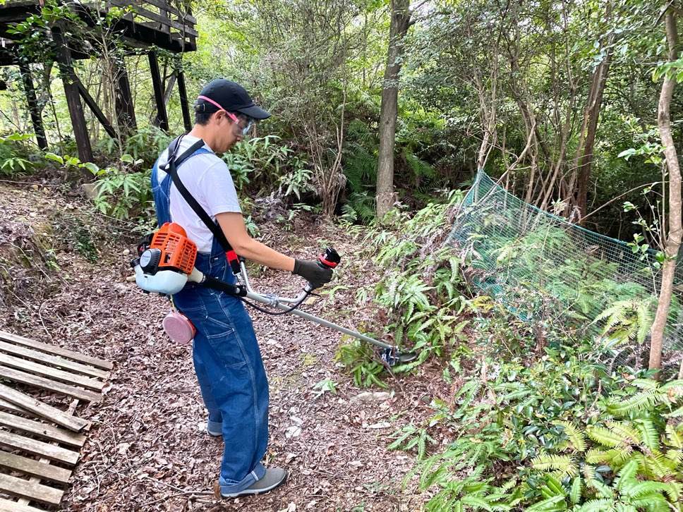 f:id:mashley_slt:20210930113431j:plain