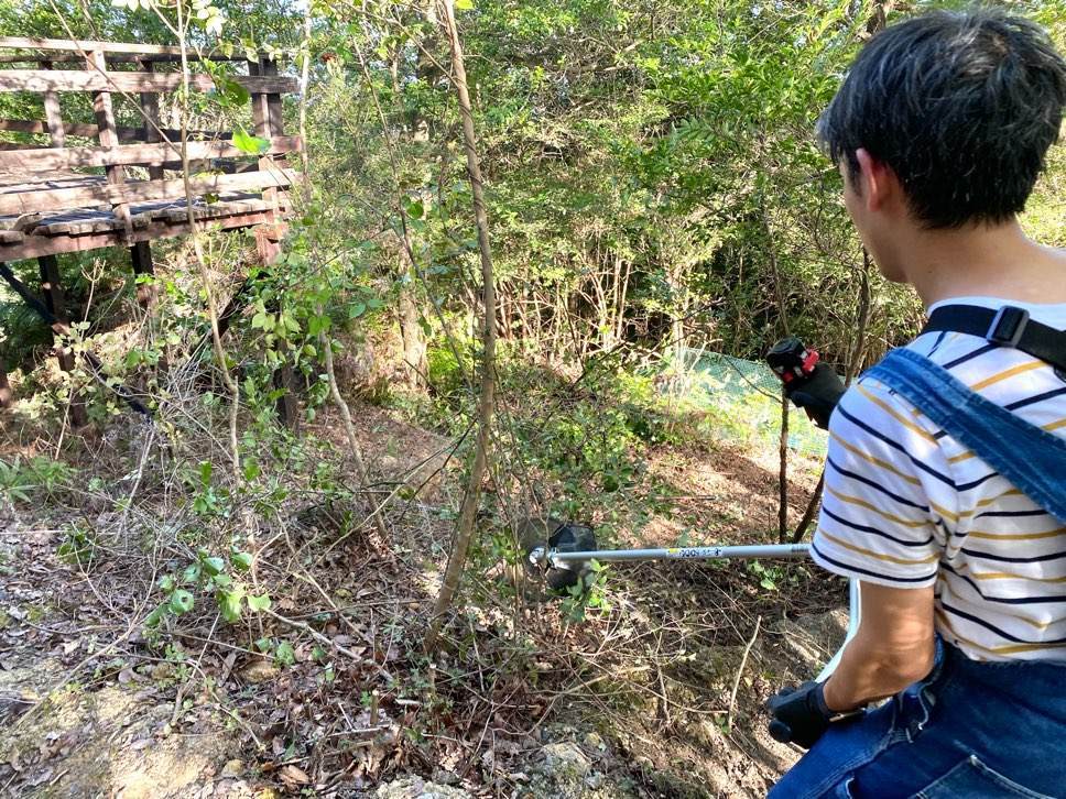 f:id:mashley_slt:20210930114330j:plain