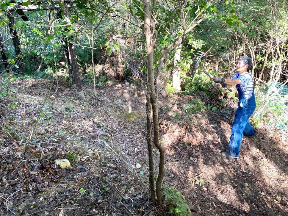 f:id:mashley_slt:20210930114418j:plain