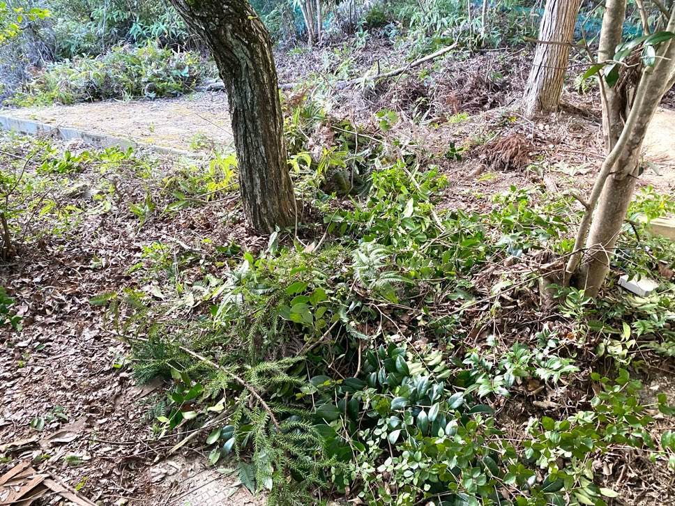 f:id:mashley_slt:20210930114728j:plain