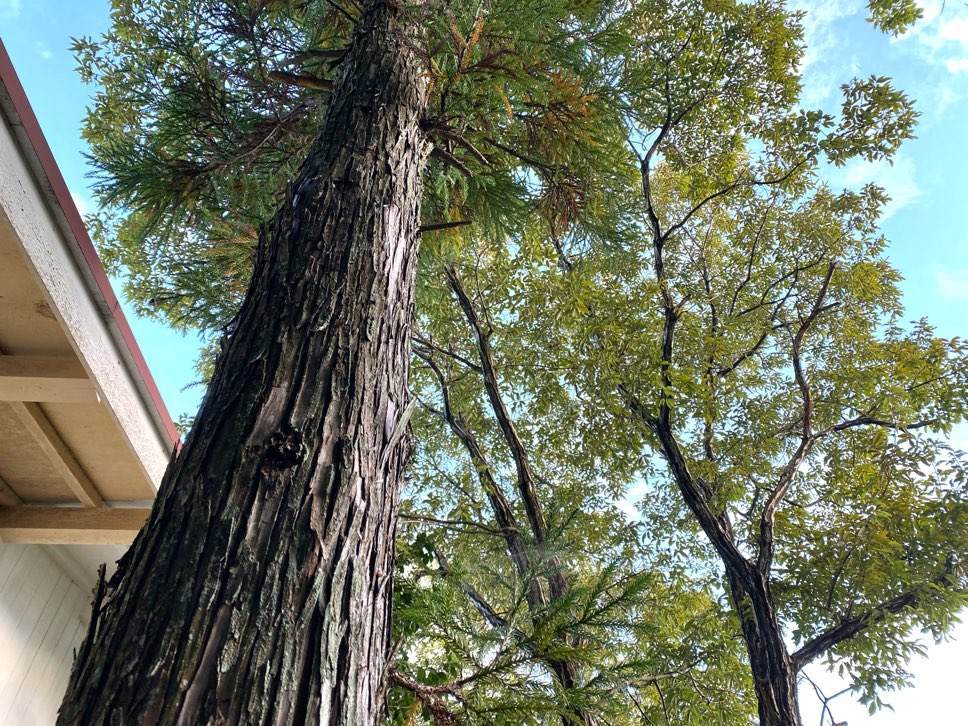 f:id:mashley_slt:20210930122726j:plain