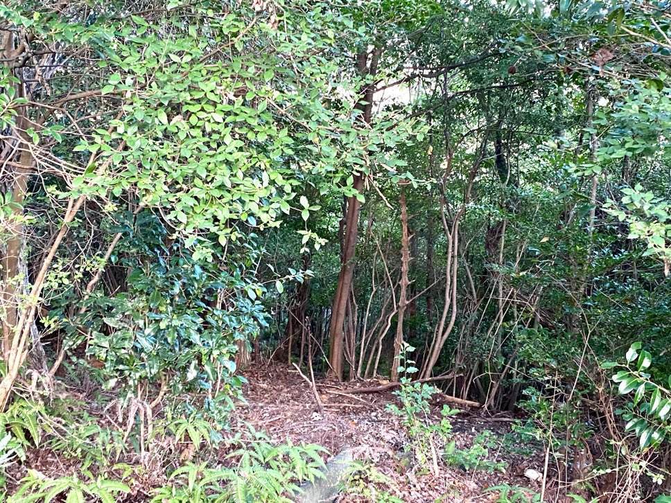 f:id:mashley_slt:20210930122831j:plain