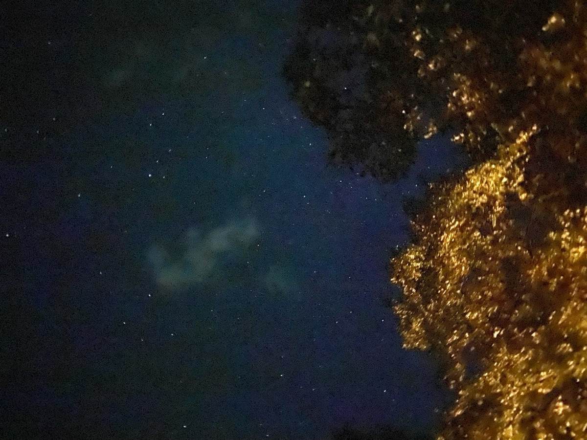 f:id:mashley_slt:20211007234501j:plain