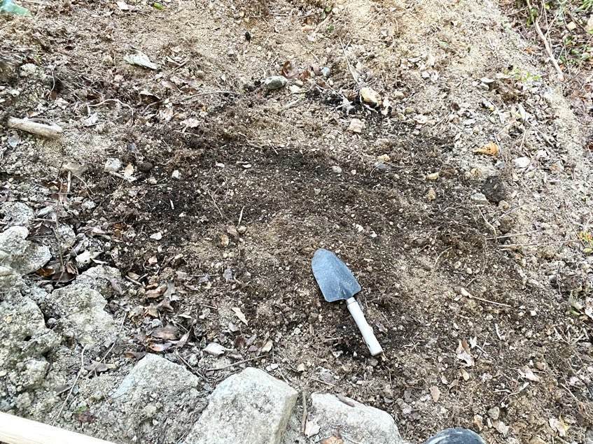 f:id:mashley_slt:20211008000609j:plain