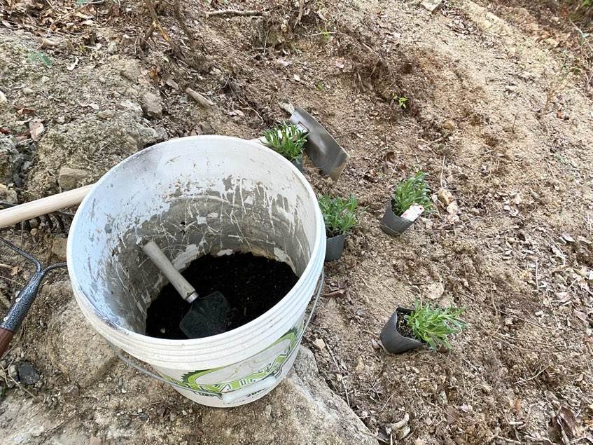 f:id:mashley_slt:20211008000718j:plain