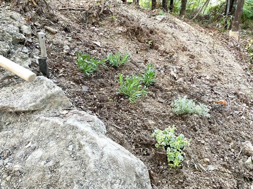 f:id:mashley_slt:20211008000801j:plain