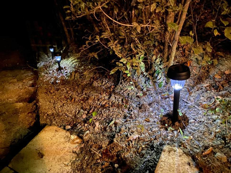 f:id:mashley_slt:20211008001805j:plain