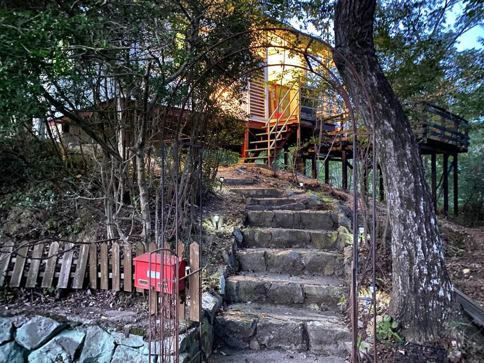 f:id:mashley_slt:20211008002517j:plain