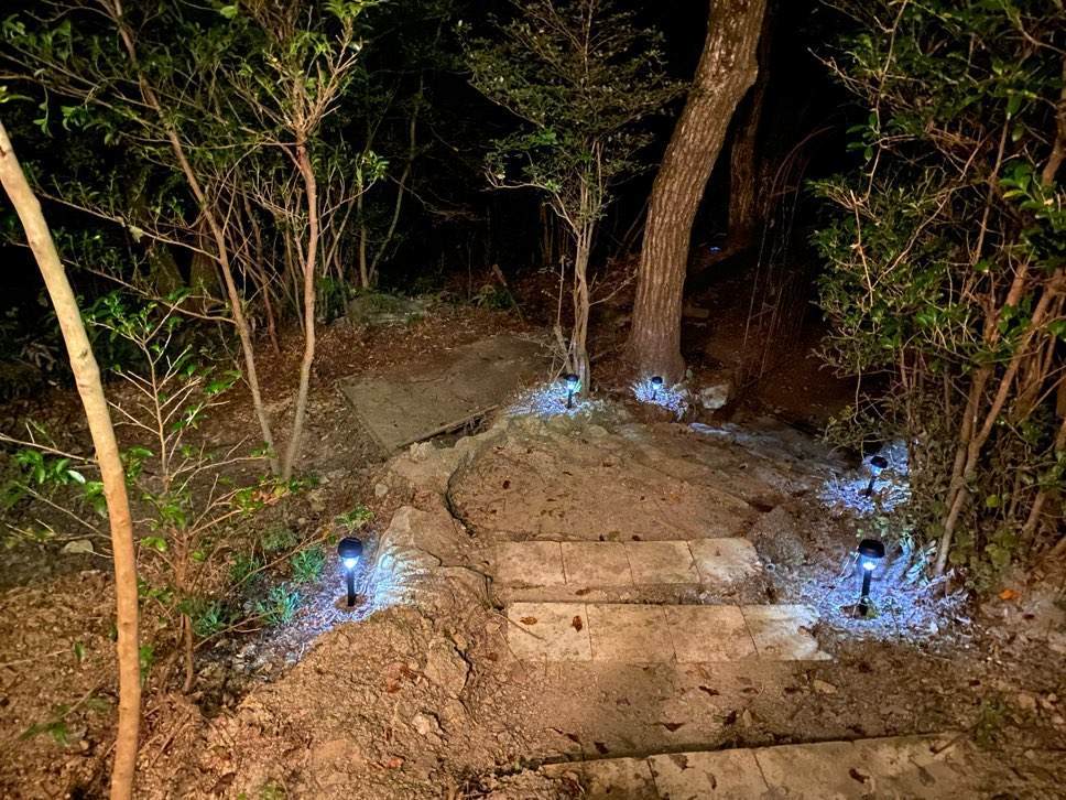 f:id:mashley_slt:20211008002534j:plain