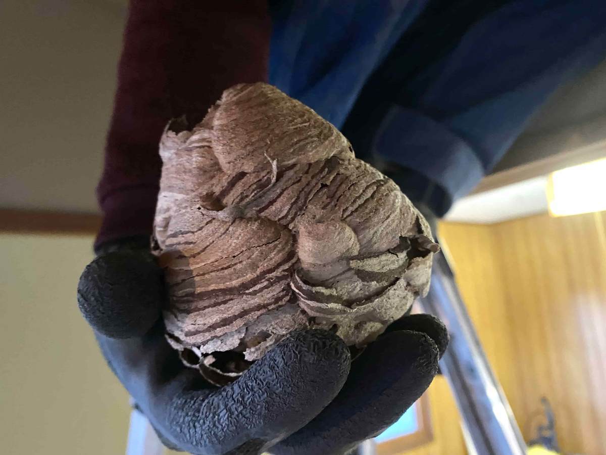 f:id:mashley_slt:20211029163654j:plain