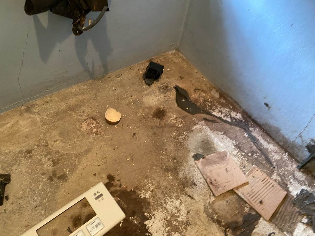 f:id:mashley_slt:20211029175639j:plain