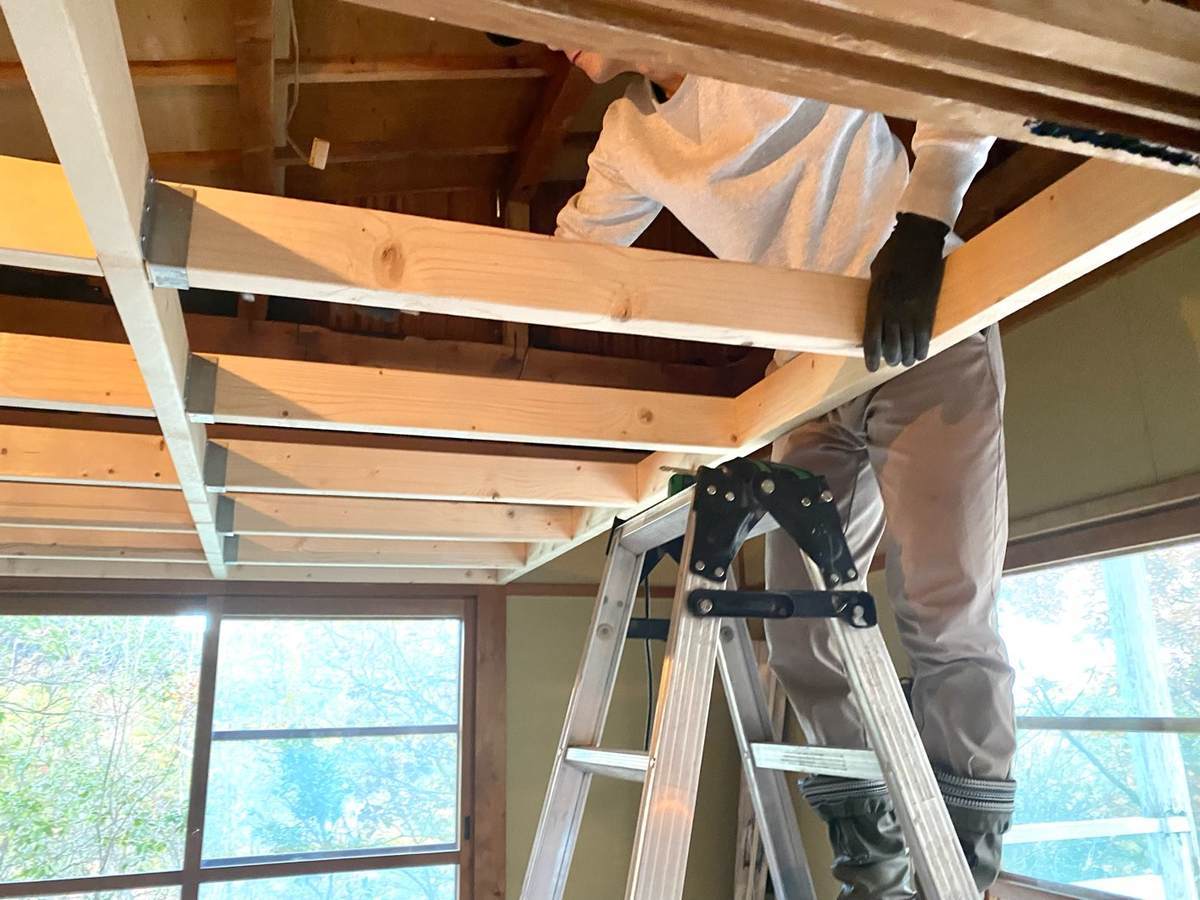 f:id:mashley_slt:20211126001457j:plain