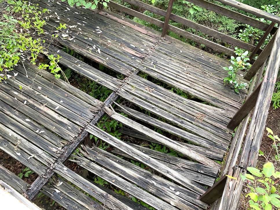 f:id:mashley_slt:20220106113019j:plain