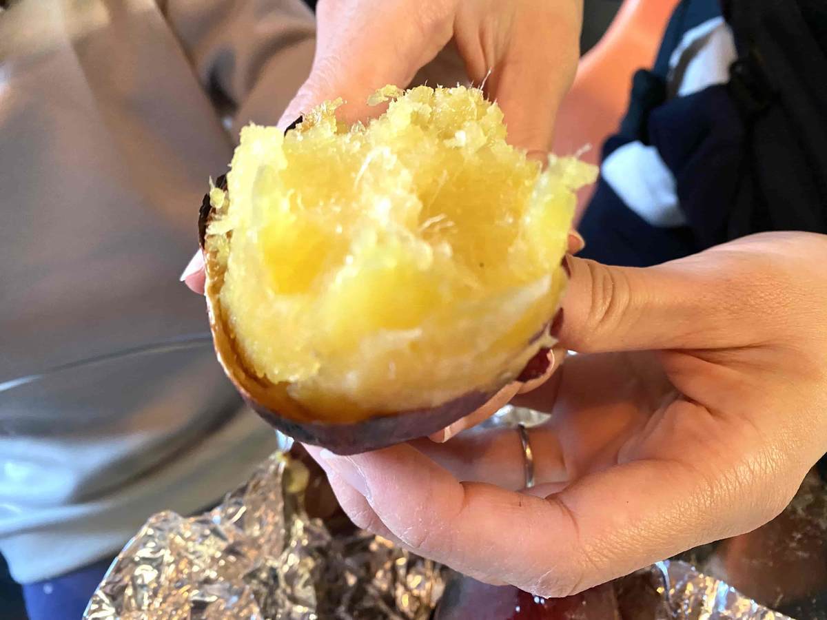 f:id:mashley_slt:20220106113628j:plain