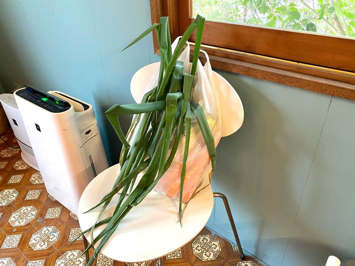 f:id:mashley_slt:20220106133033j:plain