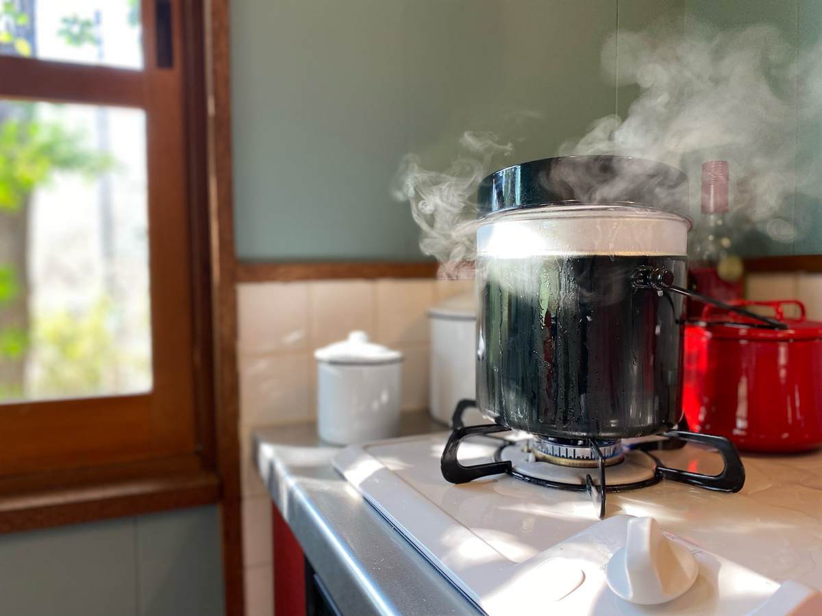 f:id:mashley_slt:20220106133150j:plain